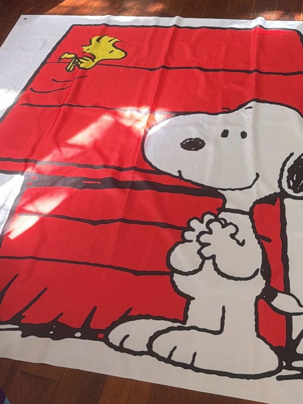 Peanuts Snoopy & Woodstock Red Party Backdrop